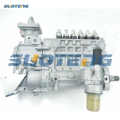 0423-4301 Kraftstoffeinspritzpumpe für BF6L914-Motor